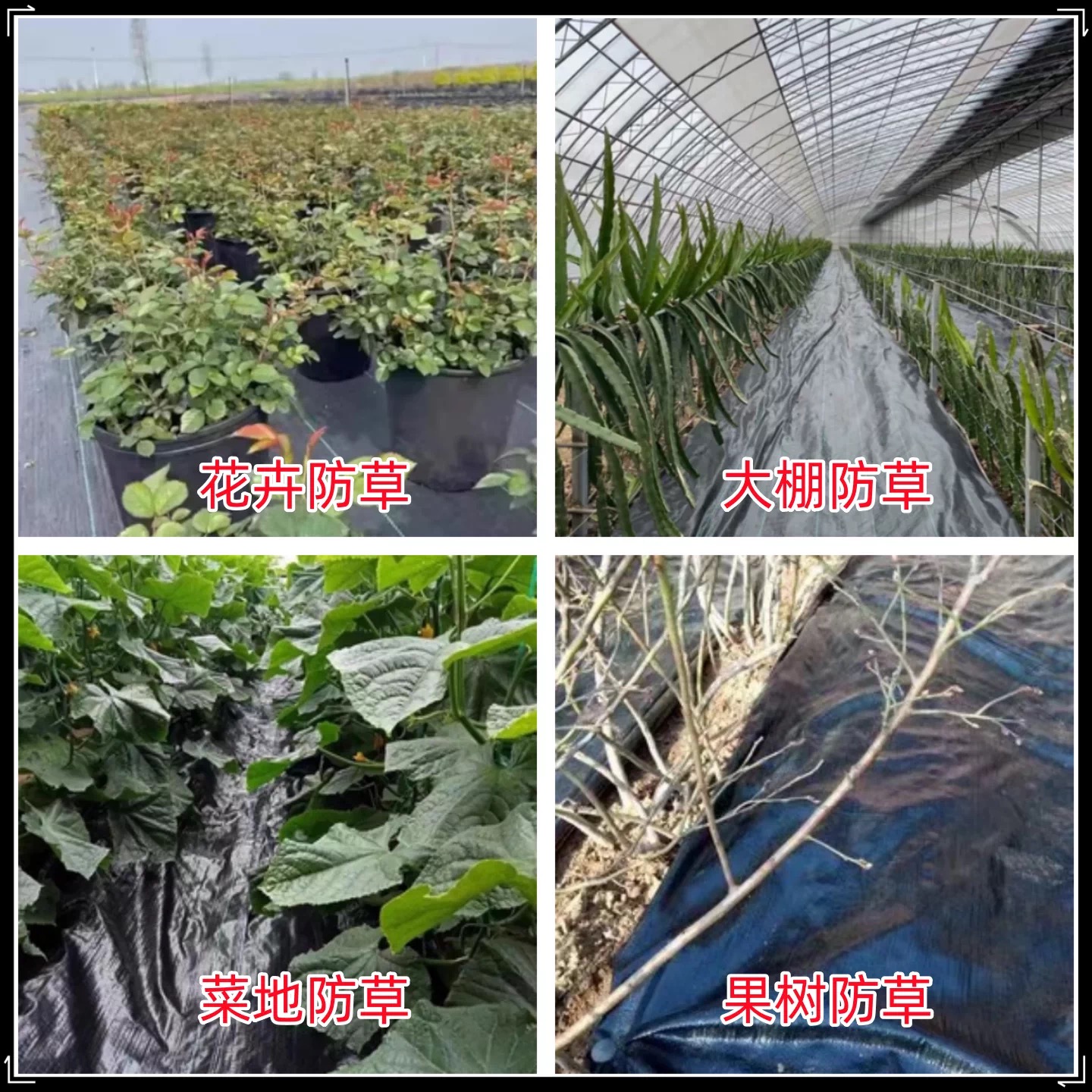 景德镇市塑料薄膜防草布 - 一站式服务